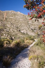 23_McKittrick Canyon_4